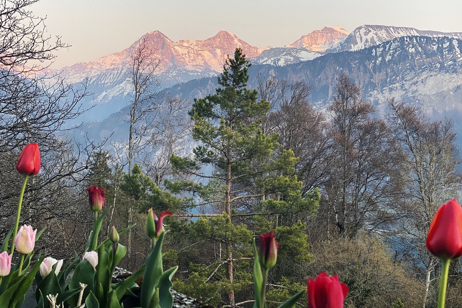 Hotel Gloria, Beatenberg-Switzerland