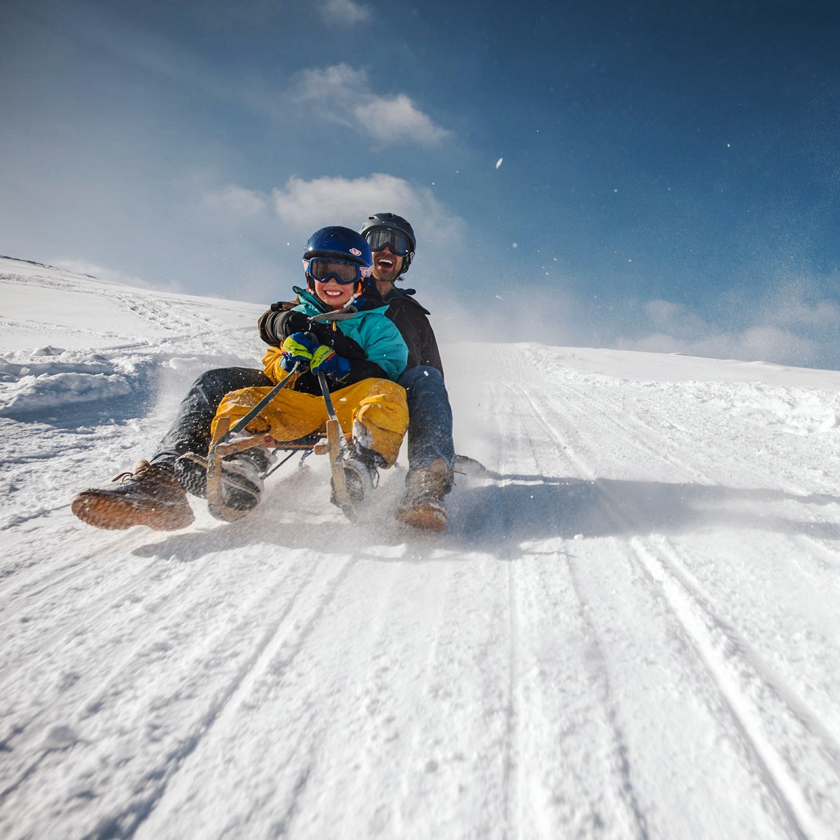 Sledging